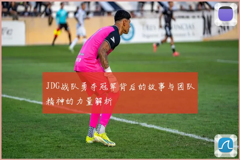 JDG战队勇夺冠军背后的故事与团队精神的力量解析