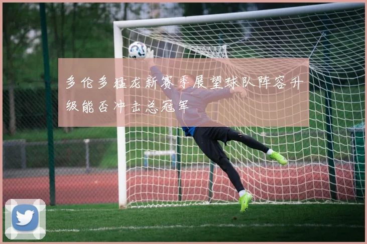 多伦多猛龙新赛季展望球队阵容升级能否冲击总冠军