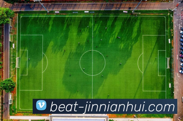 jinnianhui平台生态图